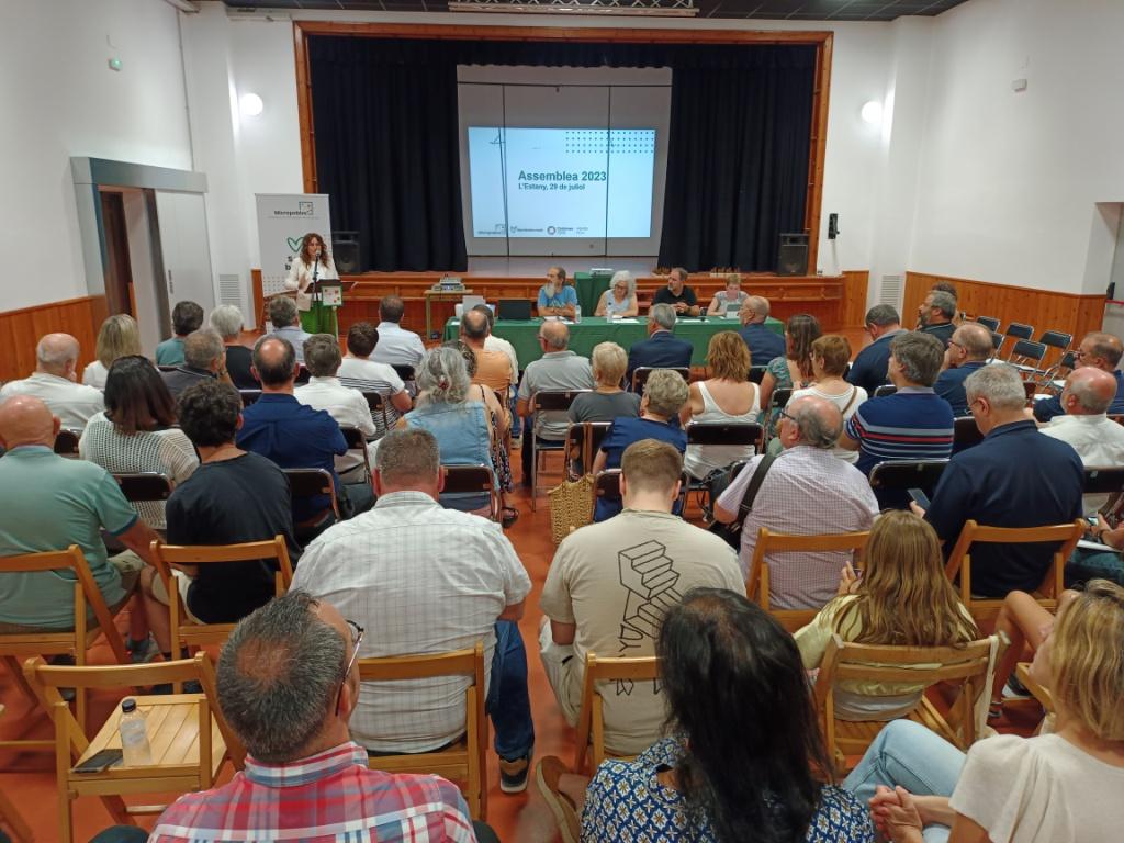 ASSEMBLEA MICROPOBLES