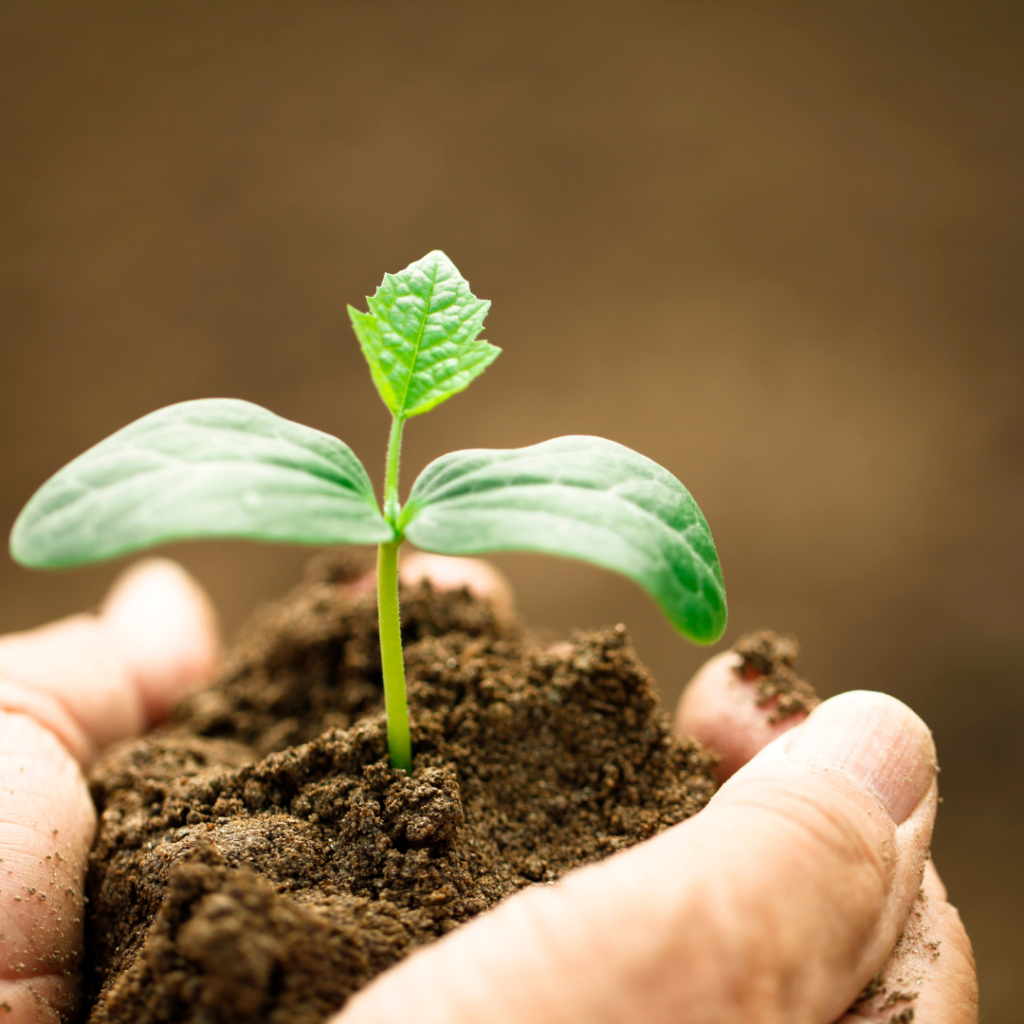 Un cop de cap pel sector alimentari