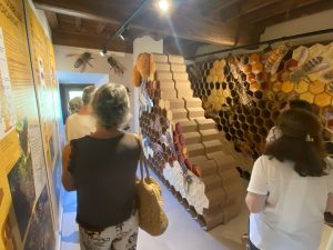 Cinc persones vistes d'esquena visiten un centre d'interpetació sobre les abelles