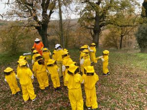 Una persona mostra un rusc a grup d'escolars vestits com apicultors de color groc