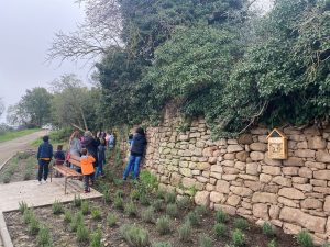 Grup d'escolars i adults veient un mur de pedra seca en el que hi ha insectes i abelles