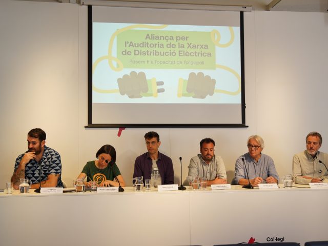 Neix l’Aliança per l’Auditoria de la Distribució Elèctrica amb l’objectiu de posar fi a l’oligopoli
